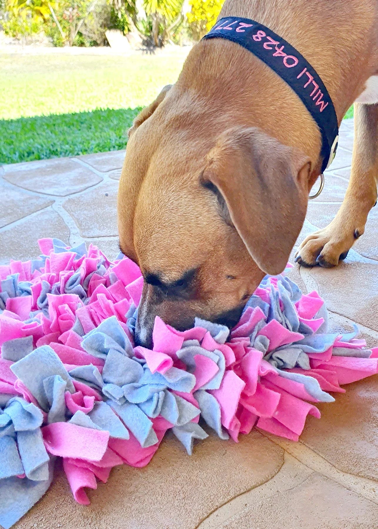 Gina's Choice Schnüffelgarten™ – Premium Schnüffelteppich für Hunde