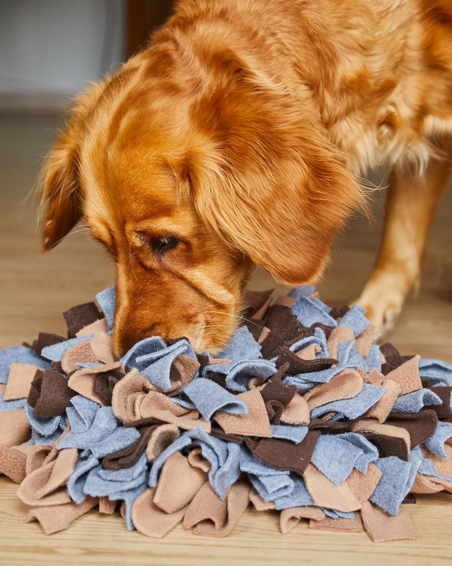 Gina's Choice Schnüffelgarten™ – Premium Schnüffelteppich für Hunde