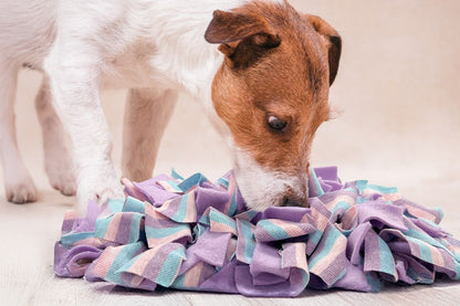 Gina's Choice Schnüffelgarten™ – Premium Schnüffelteppich für Hunde