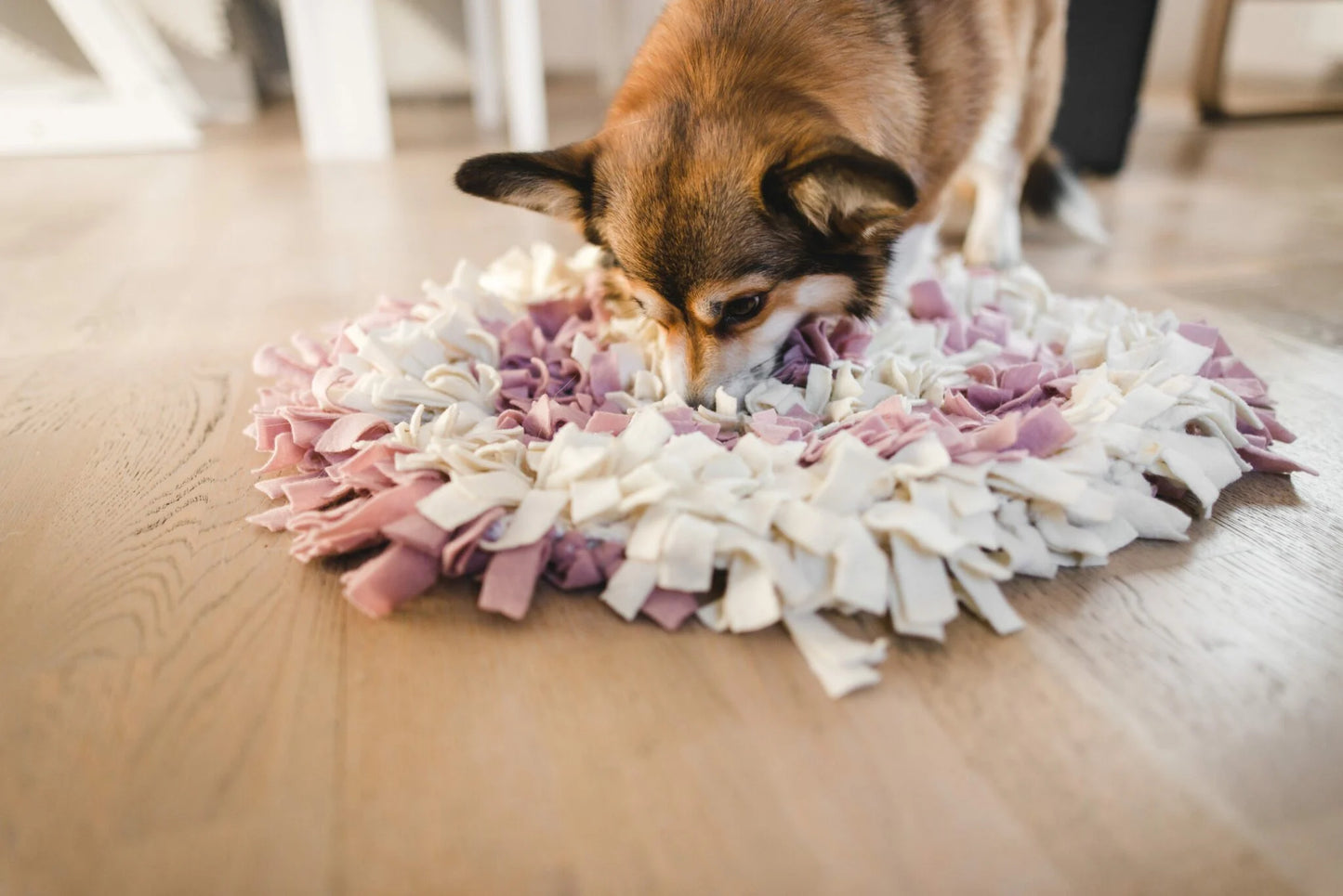 Gina's Choice Schnüffelgarten™ – Premium Schnüffelteppich für Hunde